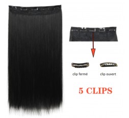 Extensions cheveux Prune Extensions cheveux Prune